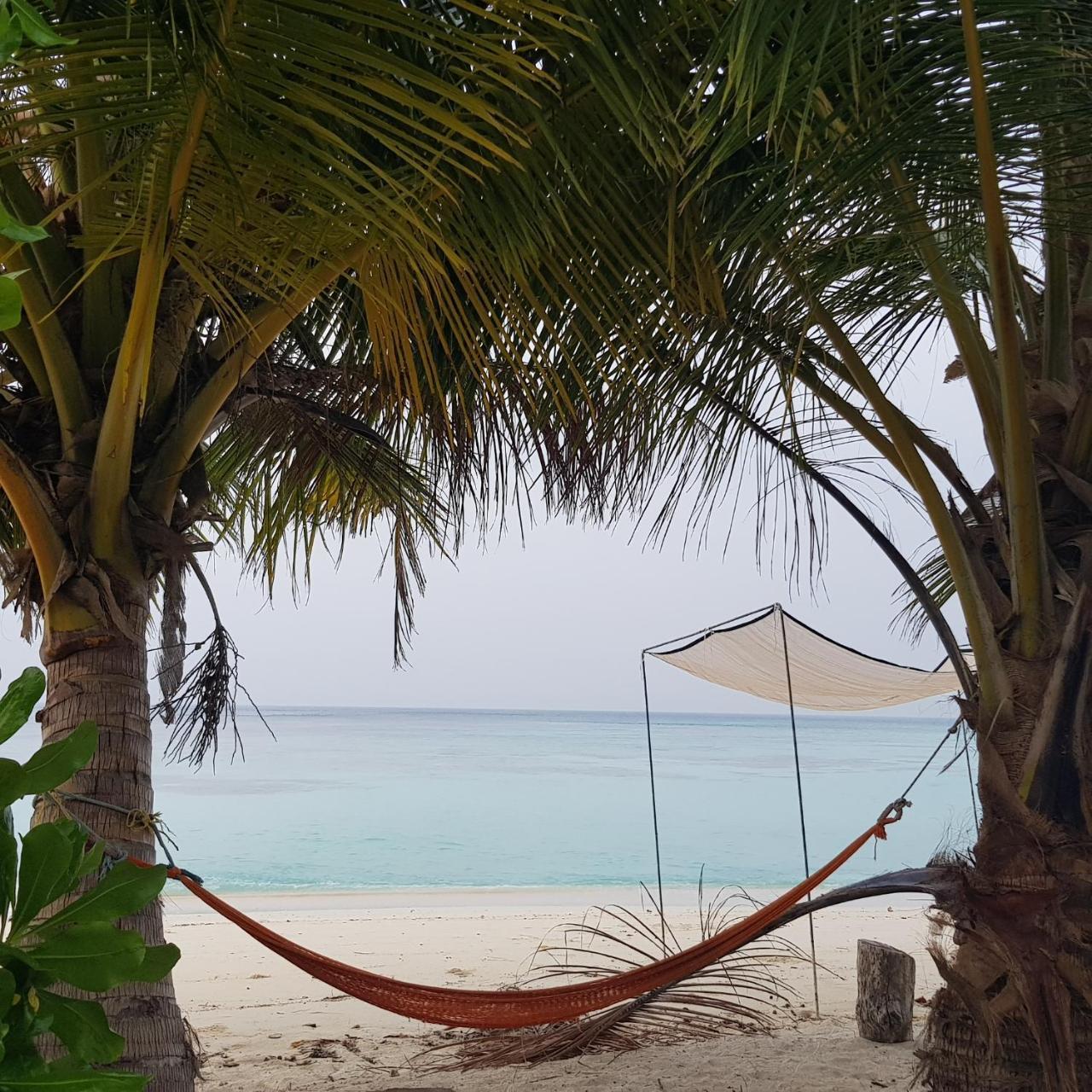 Vaali Maldives Island Escapes & Dive Hotel Felidhu Eksteriør billede